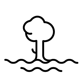 p-score
